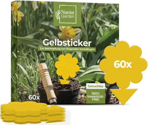 Nutrist® 60x Gelbsticker Trauermücken Pestizidfreie Klebefallen gegen Trauermücken für die Zimmerpflanzen Schädlingsbekämpfung – Mit Gelbtafeln Trauermücken bekämpfen - Gegen Fliegen in Blumenerde